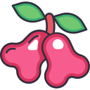 fruta icon