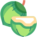 fruta icon