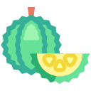 fruta icon