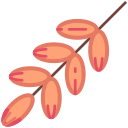 fruta icon