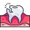 molar icon