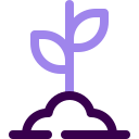 nature icon