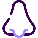 Human 