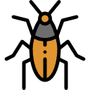 cucaracha icon