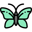 mariposa icon