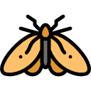 polilla icon