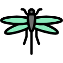 mosca del dragón icon