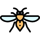 abeja icon