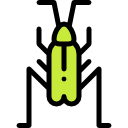 grillo icon