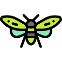 insecto icon