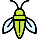 cigarra icon