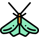 polilla icon