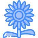 girasol icon