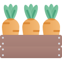 Vegetable 