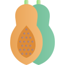 fruit 