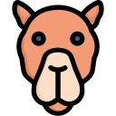 animal icon