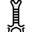 biología icon