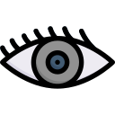 ojo icon