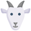 animal icon