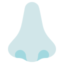 Nose 