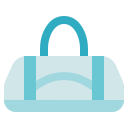 bolsa icon