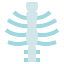 Skeleton 