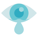 ojo icon