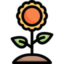 naturaleza icon