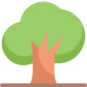 naturaleza icon