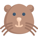 animal icon