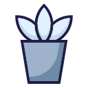 planta pequeña icon