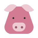 animal icon