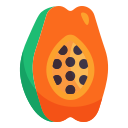 fruta icon