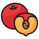 fruta icon