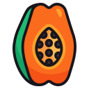 fruta icon