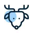 animal icon