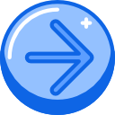 flecha correcta icon