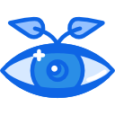 ojo icon