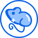 ratón icon