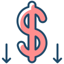 Money icon