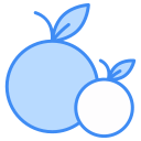 fruta icon