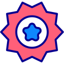 estrella icon