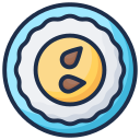 saludable icon