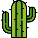 cactus icon