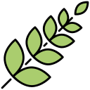 naturaleza icon