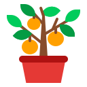 frutas icon