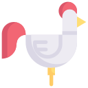 pollo 