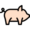 animal icon