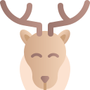 animal icon