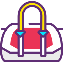 bolso icon